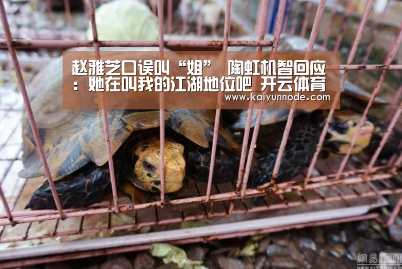 赵雅芝口误叫“姐”    陶虹机智回应：她在叫我的江湖地位吧_开云体育官网