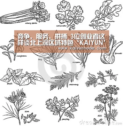 竞争、服务、拼搏 3位创业者这样谈北上深区域特色‘KAIYUN’(图2) 开云官网